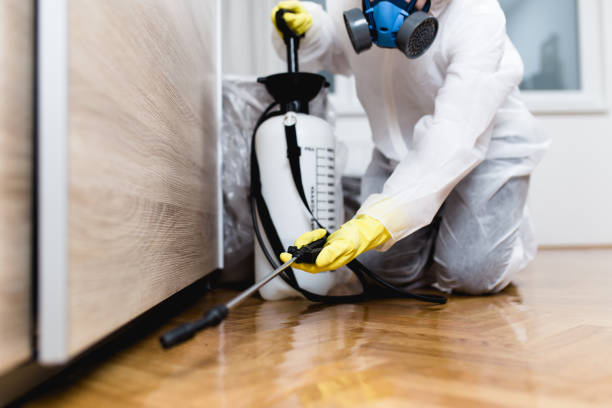 Best Pest Control Near Me  in Memphis, FL