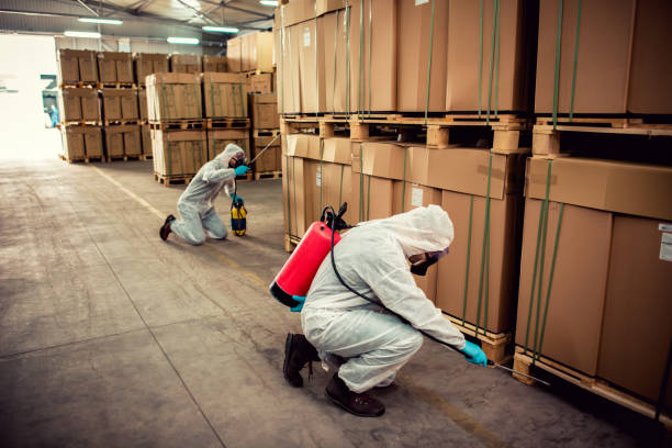 Best Mosquito Control Services  in Memphis, FL