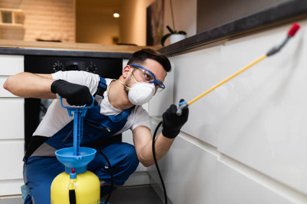 Best Emergency Pest Control  in Memphis, FL