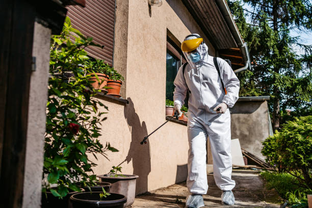Best Affordable Pest Control Services  in Memphis, FL
