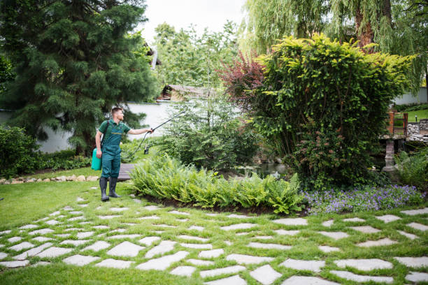 Best Commercial Pest Control Services  in Memphis, FL