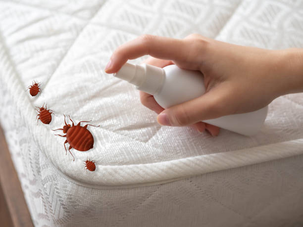 Reliable Memphis, FL Pest Control Solutions