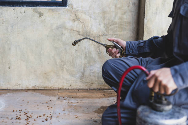 Best Pest Inspection Near Me  in Memphis, FL
