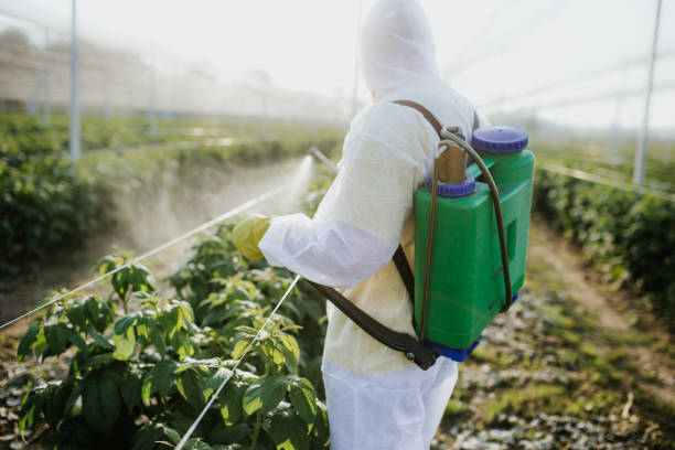 Best Affordable Pest Control Services  in Memphis, FL